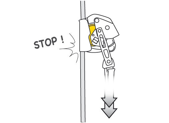 PETZL ASAP LOCK