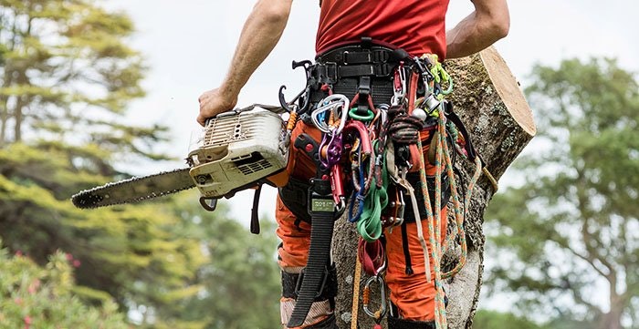 Proclimber