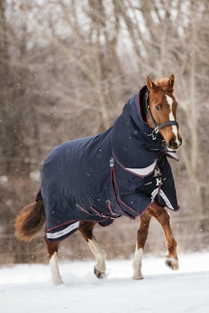 LeMieux Kudos Turnout Rug 350g Navy