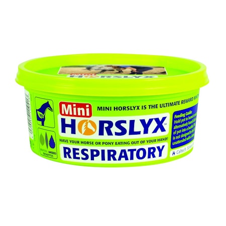 Horslyx Slicksten Respiratory