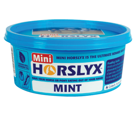 Horselyx Slicksten Mint