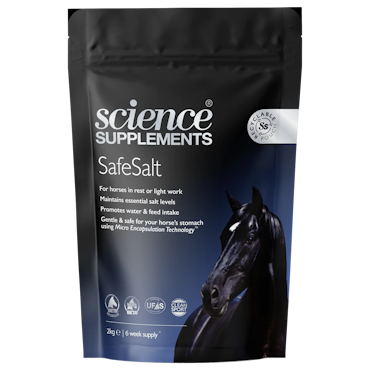 Science Supplements SafeSalt