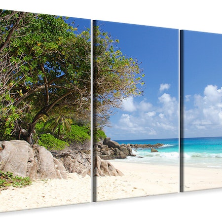Ljuddämpande tavla -  Dream Beach Seychelles