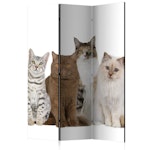 Rumsavdelare 3-delad (135x172cm) - Sweet Cats