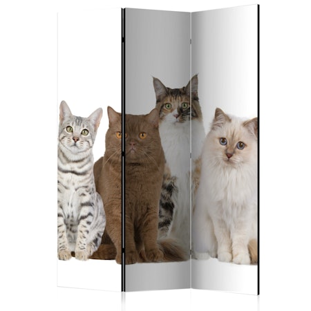 Rumsavdelare 3-delad (135x172cm) - Sweet Cats