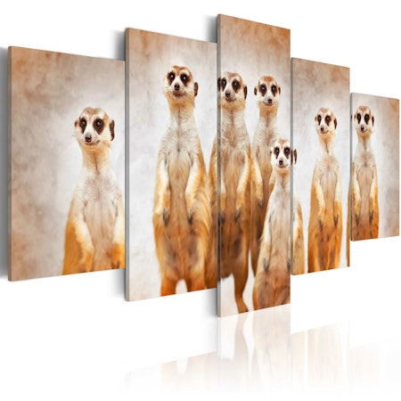 Ljuddämpande Tavla - Family of meerkats