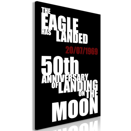 Ljuddämpande Tavla - Moon Landing (1 Part) Vertical