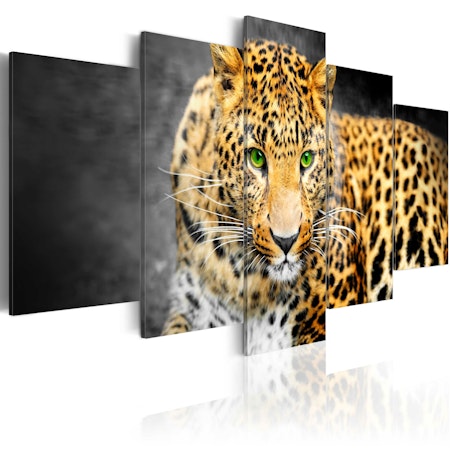 Ljuddämpande Tavla - Green-eyed leopard
