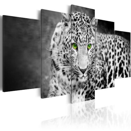 Ljuddämpande Tavla - Leopard - black&white