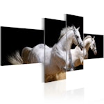 Ljuddämpande Tavla - Animal world- white horses galloping