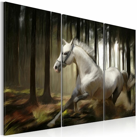 Ljuddämpande Tavla - A white horse in the midst of the trees