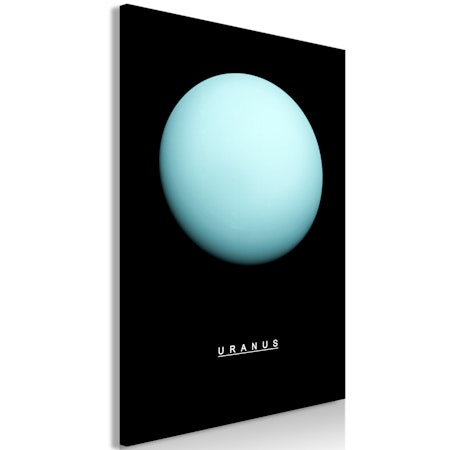 Ljuddämpande Tavla - Uranus (1 Part) Vertical