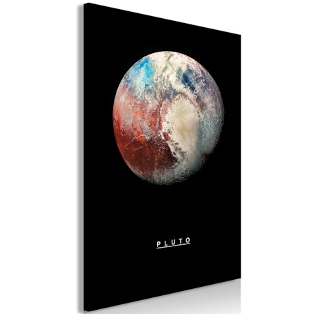 Ljuddämpande Tavla - Pluto (1 Part) Vertical