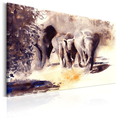 Ljuddämpande Tavla - Watercolour Elephants