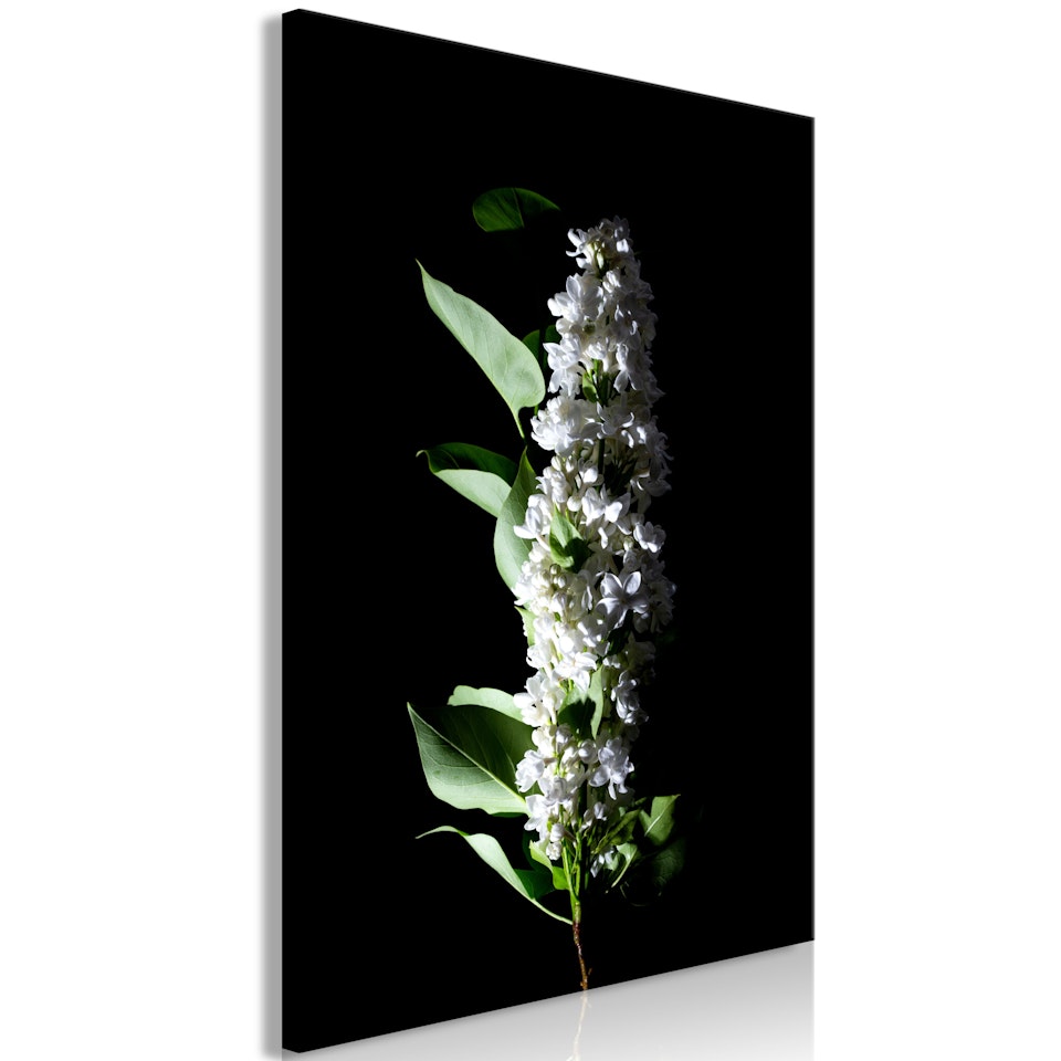 Ljuddämpande Tavla - White Lilacs (1 Part) Vertical