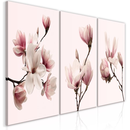 Ljuddämpande Tavla - Spring Magnolias (3 Parts)