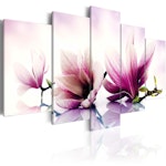 Ljuddämpande Tavla - Pink flowers: magnolias