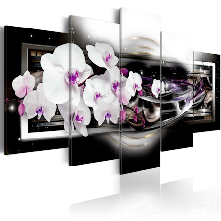 Ljuddämpande Tavla - Orchids on a black background