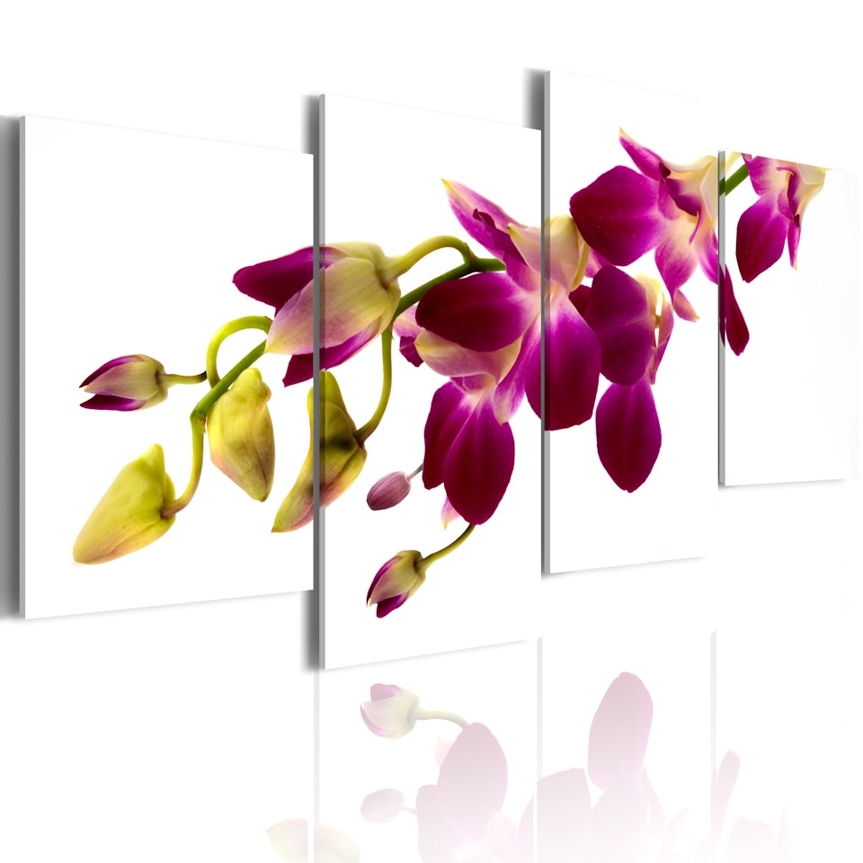 Ljuddämpande Tavla - Orchids glöd