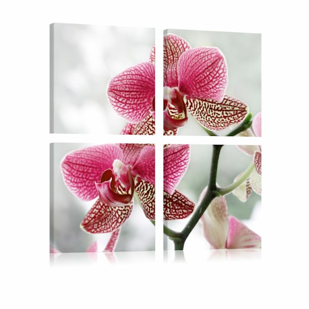 Ljuddämpande Tavla - Fancy orkidé