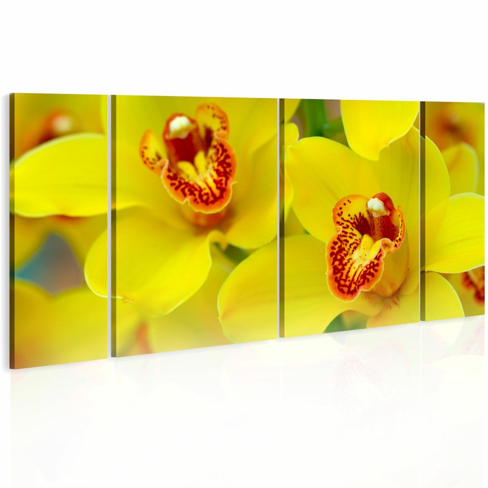 Ljuddämpande Tavla - Orchids - intensity of yellow color