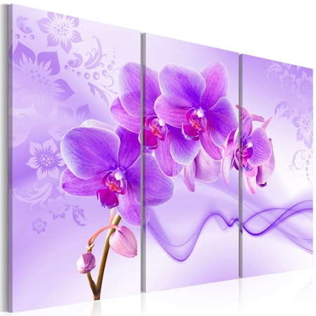 Ljuddämpande Tavla - Ethereal orchid - violet