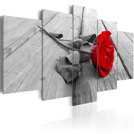 Ljuddämpande Tavla - Rose on Wood (5 Parts) Wide Red