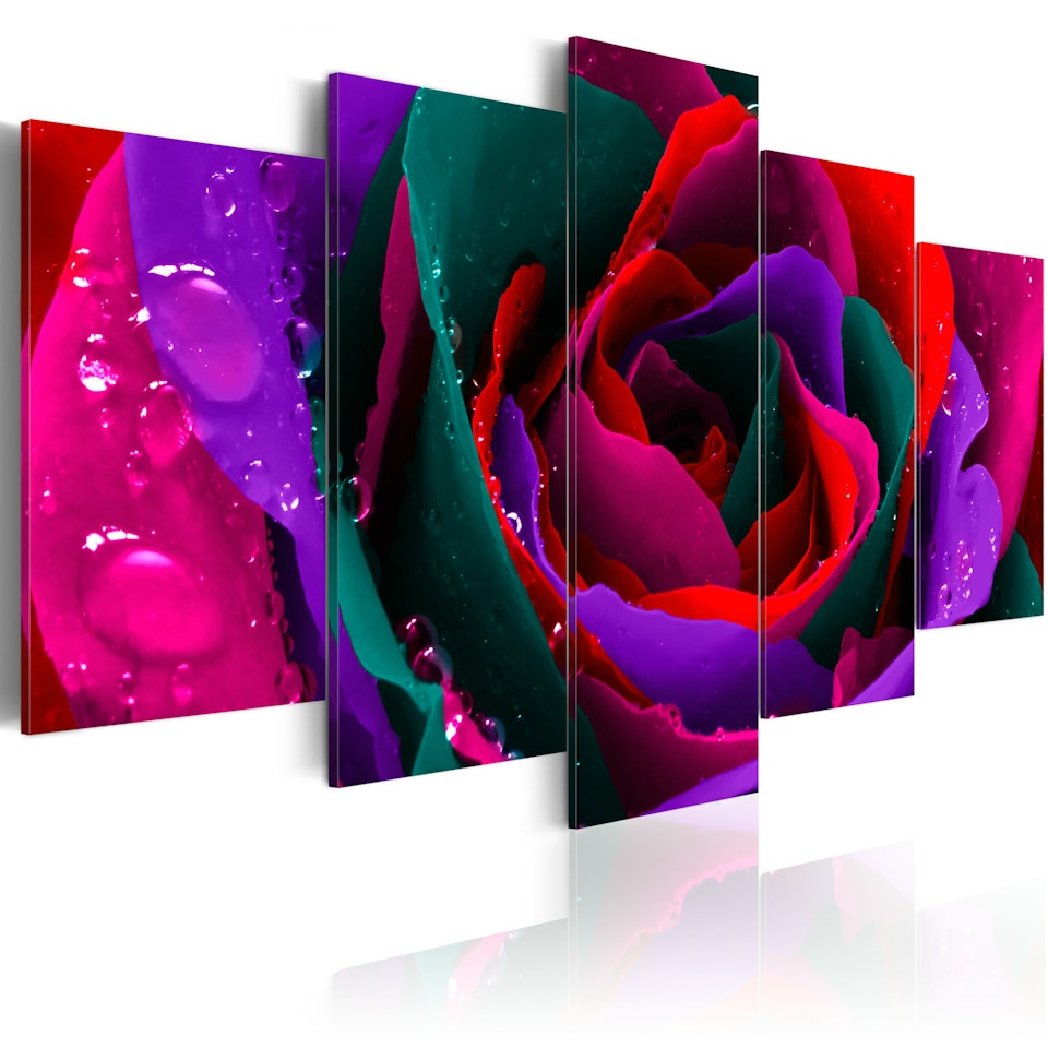 Ljuddämpande Tavla - Multicoloured rose
