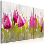 Ljuddämpande Tavla - Spring bouquet of tulips