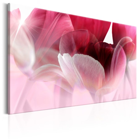 Ljuddämpande Tavla - Nature: Pink Tulips