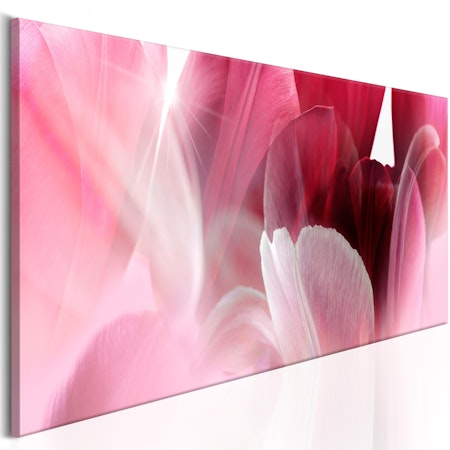 Ljuddämpande Tavla - Flowers: Pink Tulips