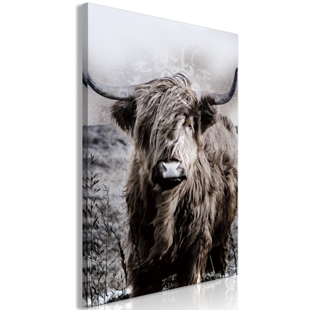 Ljuddämpande Tavla - Highland Cow in Sepia