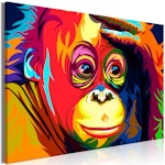 Ljuddämpande Tavla - Colourful Orangutan (1 Part) Wide