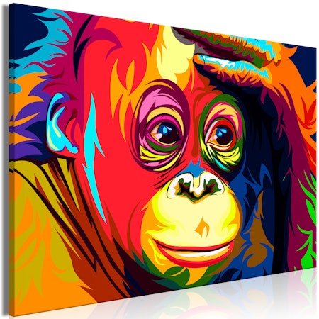 Ljuddämpande Tavla - Colourful Orangutan (1 Part) Wide