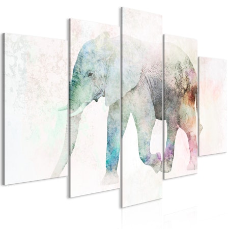 Ljuddämpande Tavla - Painted Elephant (5 Parts) Wide