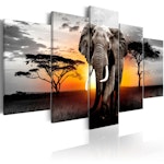 Ljuddämpande Tavla - Elephant at Sunset