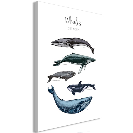 Ljuddämpande Tavla - Whales (1 Part) Vertical