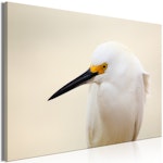 Ljuddämpande Tavla - Snowy Egret (1 Part) Wide
