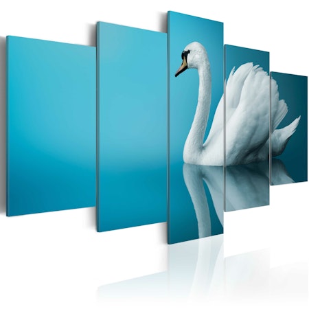 Ljuddämpande Tavla - A swan in blue