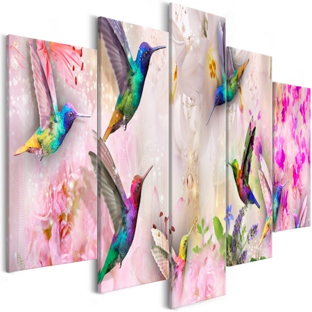Ljuddämpande Tavla - Colourful Hummingbirds (5 Parts) Wide Pink