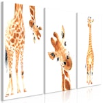 Ljuddämpande Tavla - Funny Giraffes (3 Parts)