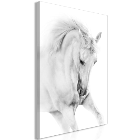 Ljuddämpande Tavla - White Horse (1 Part) Vertical