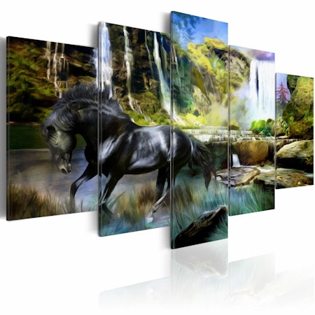 Ljuddämpande Tavla - Black horse on the background of paradise waterfall