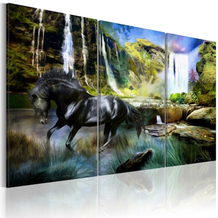 Ljuddämpande Tavla - Horse on the sky-blue waterfall background
