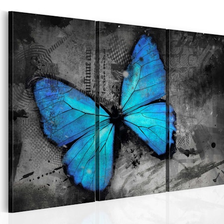 Ljuddämpande Tavla - The study of butterfly - triptych