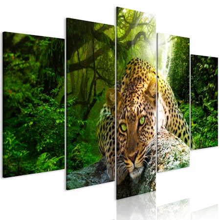 Ljuddämpande Tavla - Leopard Lying (5 Parts) Wide Green