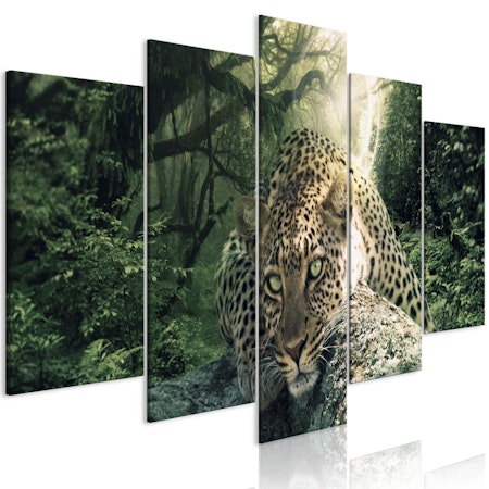 Ljuddämpande Tavla - Leopard Lying (5 Parts) Wide Pale Green