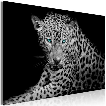 Ljuddämpande Tavla - Leopard Portrait (1 Part) Wide