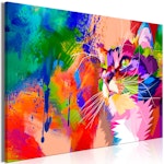 Ljuddämpande Tavla - Colourful Cat (1 Part) Wide