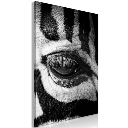 Ljuddämpande Tavla - Zebra Eye (1 Part) Vertical